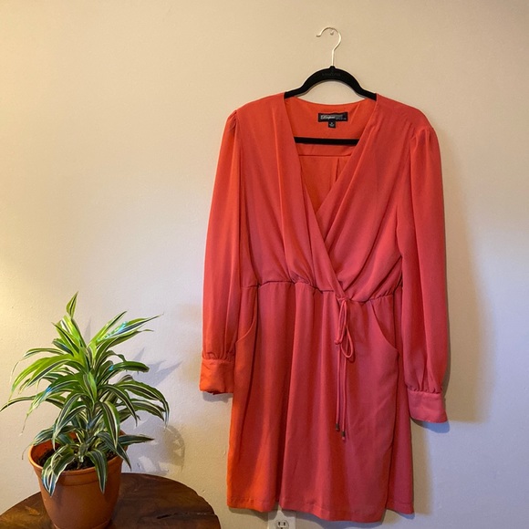 Professional and Classy Coral Dress - Picture 1 of 5